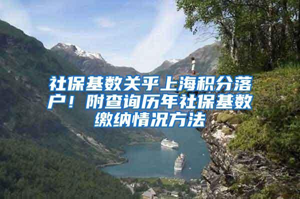 社保基数关乎上海积分落户！附查询历年社保基数缴纳情况方法
