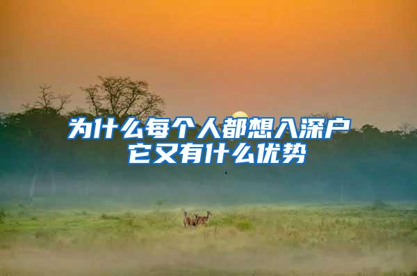 为什么每个人都想入深户 它又有什么优势