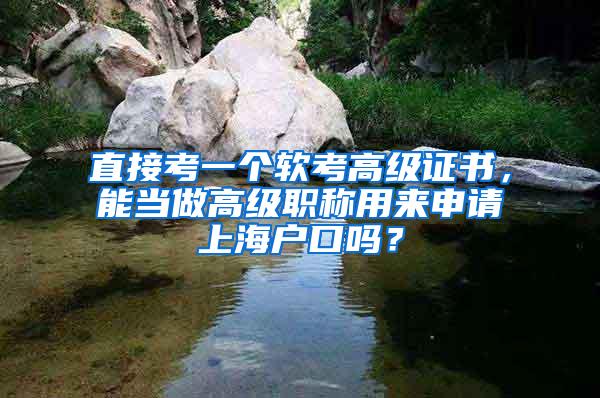 直接考一个软考高级证书，能当做高级职称用来申请上海户口吗？