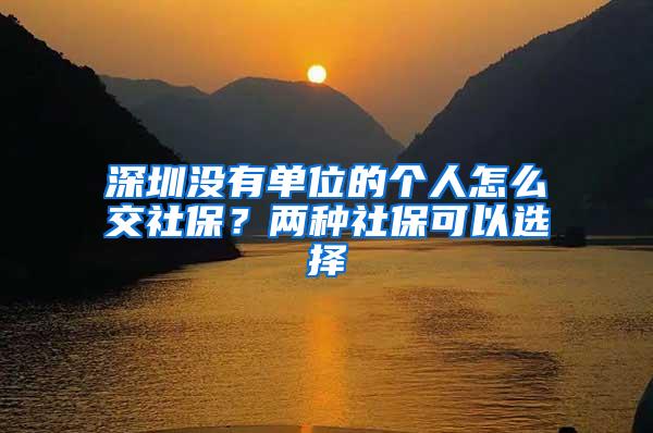深圳没有单位的个人怎么交社保？两种社保可以选择