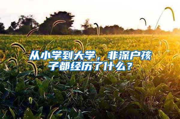 从小学到大学，非深户孩子都经历了什么？