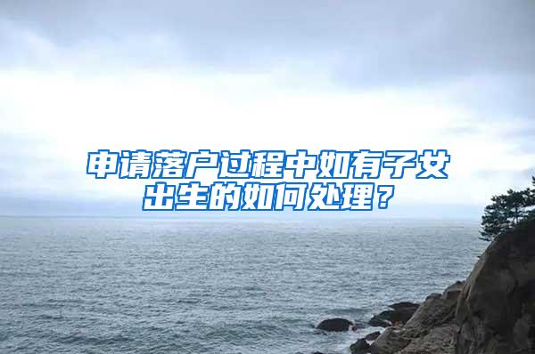 申请落户过程中如有子女出生的如何处理？