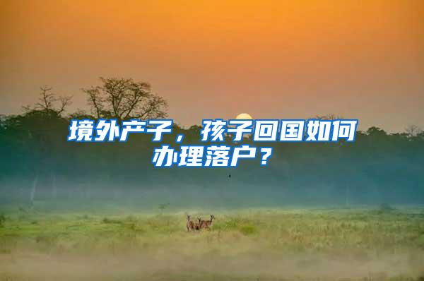 境外产子，孩子回国如何办理落户？