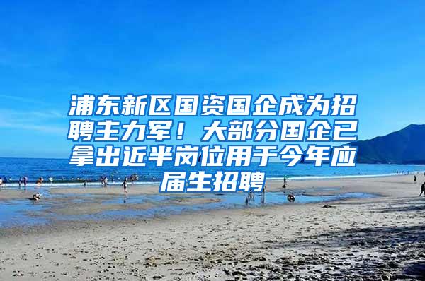 浦东新区国资国企成为招聘主力军！大部分国企已拿出近半岗位用于今年应届生招聘