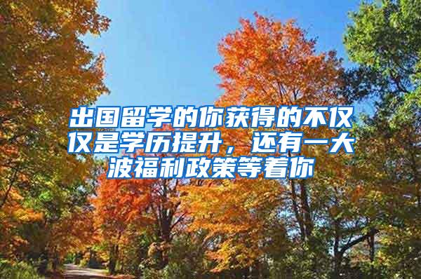 出国留学的你获得的不仅仅是学历提升，还有一大波福利政策等着你