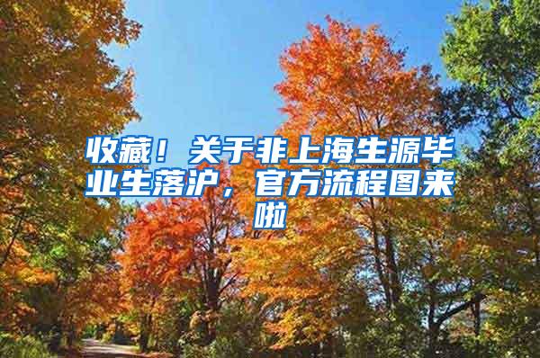 收藏！关于非上海生源毕业生落沪，官方流程图来啦