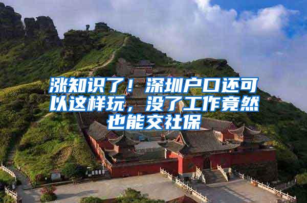 涨知识了！深圳户口还可以这样玩，没了工作竟然也能交社保