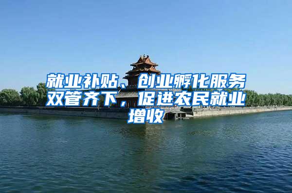 就业补贴、创业孵化服务双管齐下，促进农民就业增收