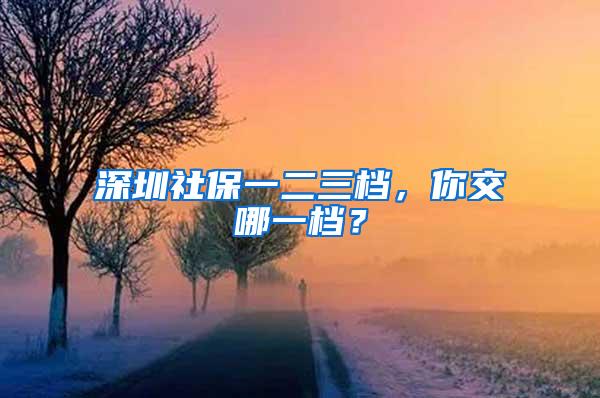 深圳社保一二三档，你交哪一档？