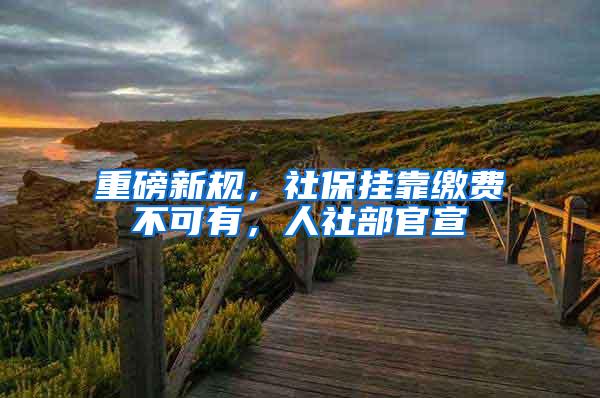 重磅新规，社保挂靠缴费不可有，人社部官宣