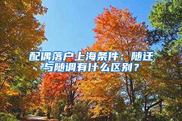 配偶落户上海条件：随迁与随调有什么区别？