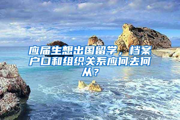 应届生想出国留学，档案户口和组织关系应何去何从？