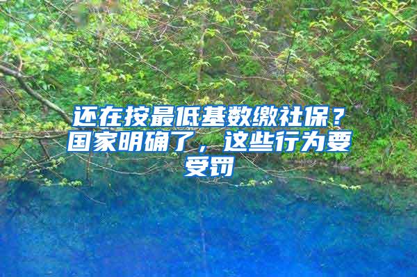 还在按最低基数缴社保？国家明确了，这些行为要受罚