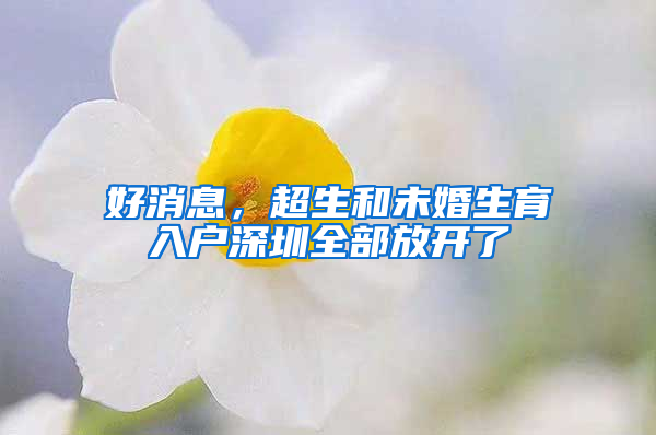 好消息，超生和未婚生育入户深圳全部放开了
