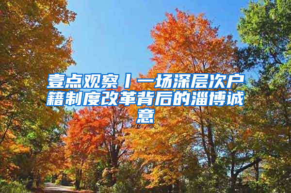 壹点观察丨一场深层次户籍制度改革背后的淄博诚意