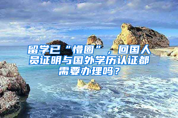 留学已“懵圈”，回国人员证明与国外学历认证都需要办理吗？