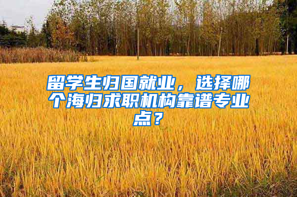 留学生归国就业，选择哪个海归求职机构靠谱专业点？