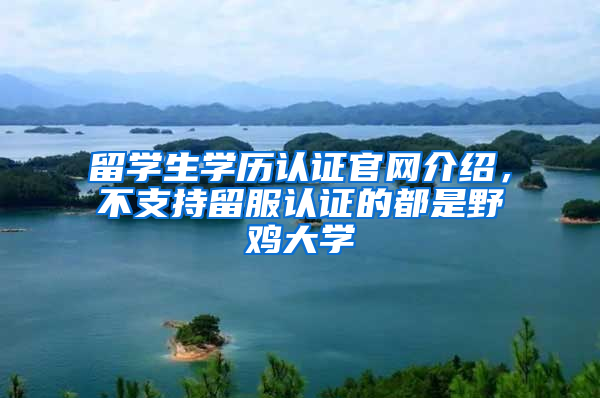 留学生学历认证官网介绍，不支持留服认证的都是野鸡大学