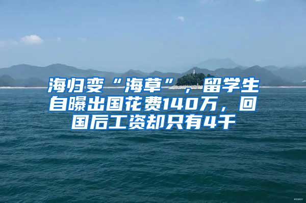 海归变“海草”，留学生自曝出国花费140万，回国后工资却只有4千