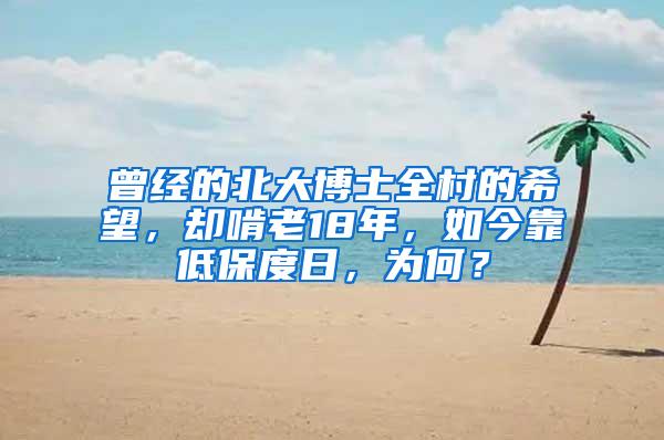曾经的北大博士全村的希望，却啃老18年，如今靠低保度日，为何？