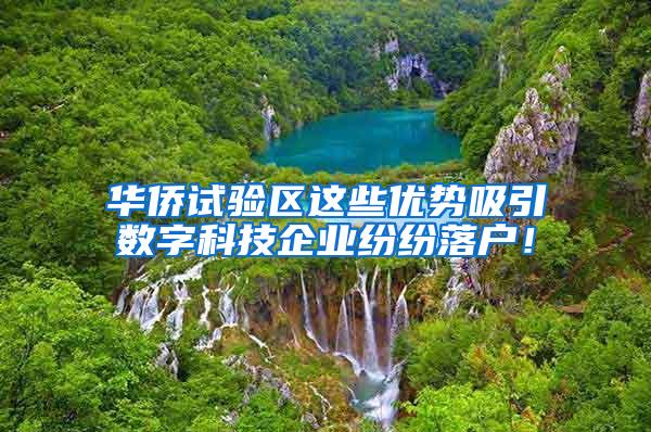 华侨试验区这些优势吸引数字科技企业纷纷落户！