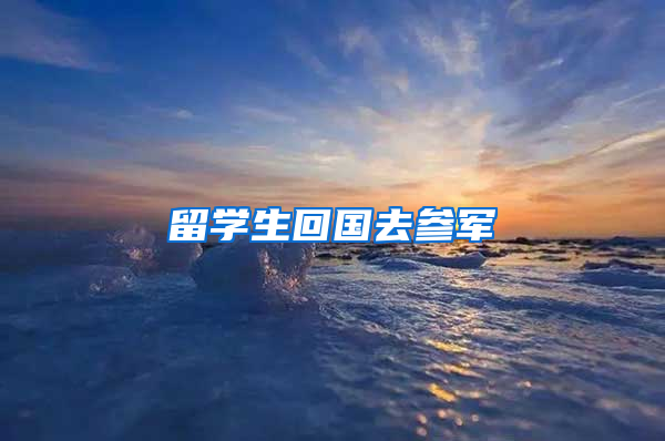 留学生回国去参军