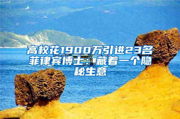 高校花1900万引进23名菲律宾博士：藏着一个隐秘生意