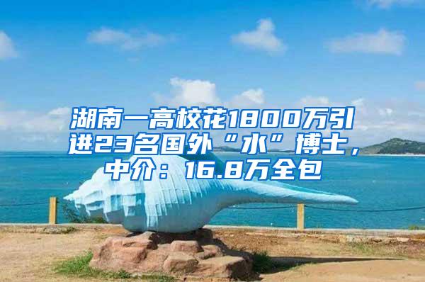 湖南一高校花1800万引进23名国外“水”博士，中介：16.8万全包