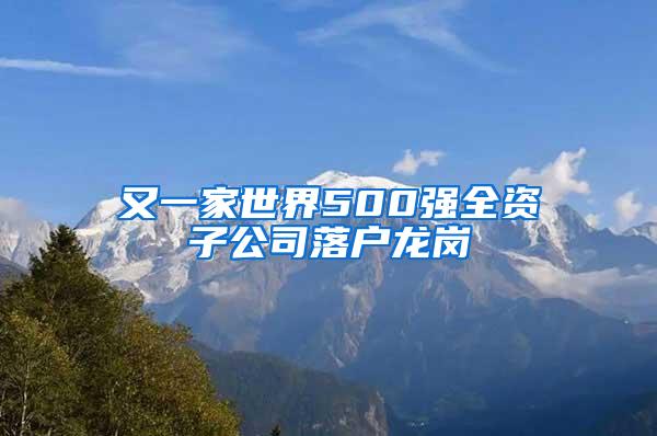 又一家世界500强全资子公司落户龙岗
