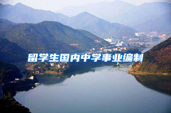 留学生国内中学事业编制