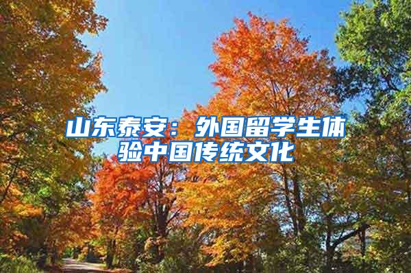 山东泰安：外国留学生体验中国传统文化