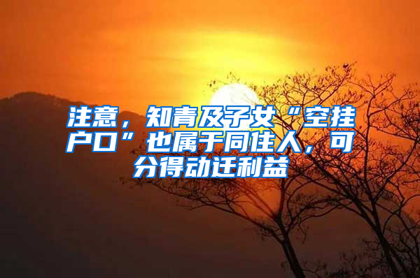 注意，知青及子女“空挂户口”也属于同住人，可分得动迁利益