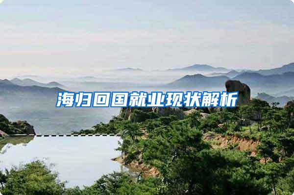 海归回国就业现状解析