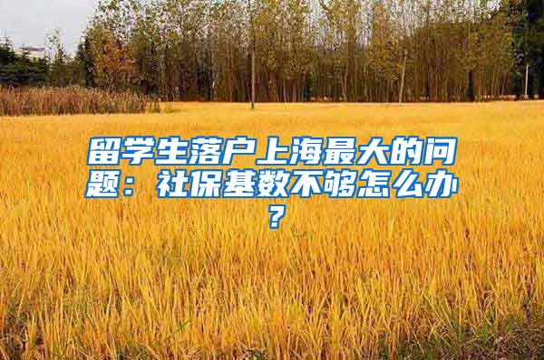 留学生落户上海最大的问题：社保基数不够怎么办？