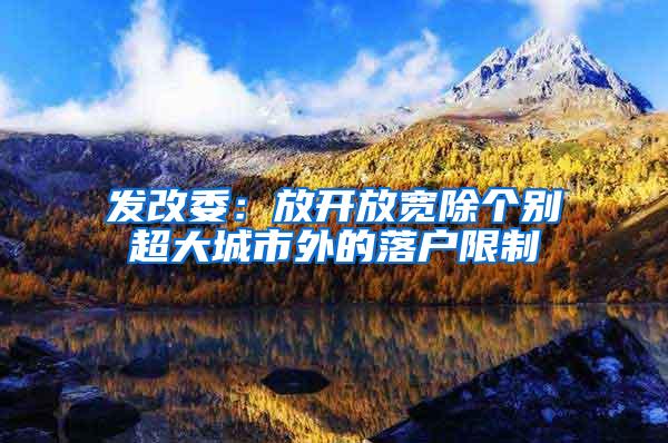 发改委：放开放宽除个别超大城市外的落户限制
