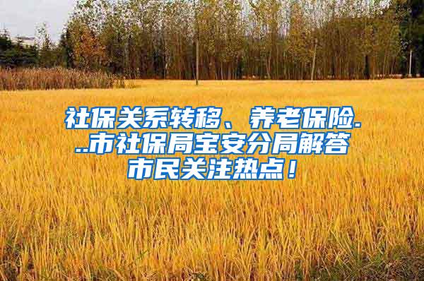 社保关系转移、养老保险...市社保局宝安分局解答市民关注热点！