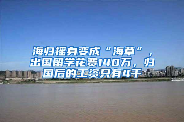 海归摇身变成“海草”，出国留学花费140万，归国后的工资只有4千