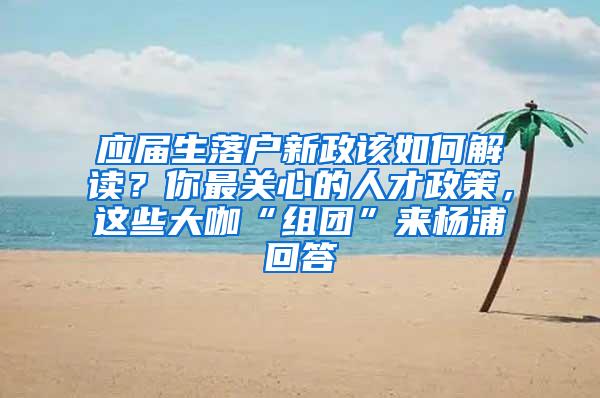 应届生落户新政该如何解读？你最关心的人才政策，这些大咖“组团”来杨浦回答