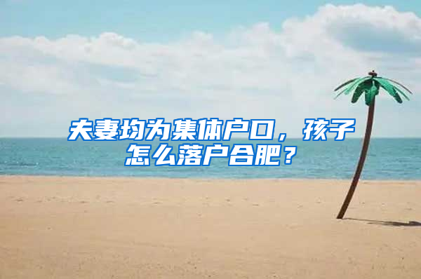夫妻均为集体户口，孩子怎么落户合肥？