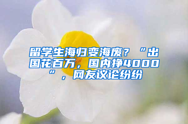 留学生海归变海废？“出国花百万，国内挣4000”，网友议论纷纷