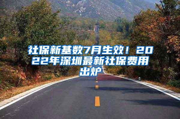 社保新基数7月生效！2022年深圳最新社保费用出炉