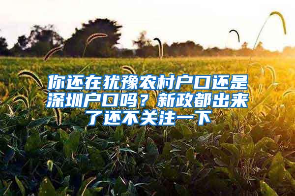 你还在犹豫农村户口还是深圳户口吗？新政都出来了还不关注一下