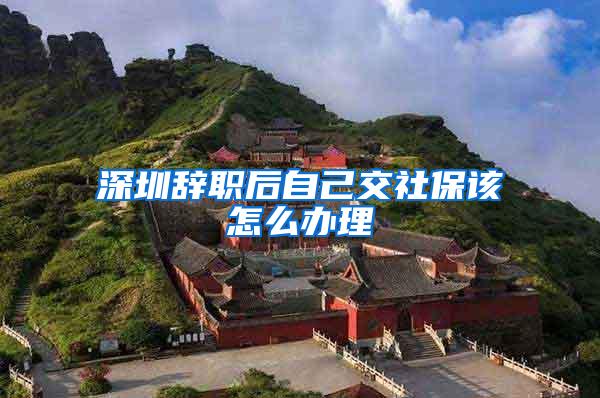 深圳辞职后自己交社保该怎么办理