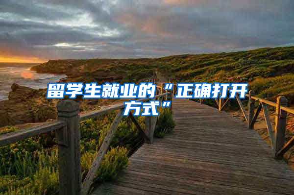 留学生就业的“正确打开方式”