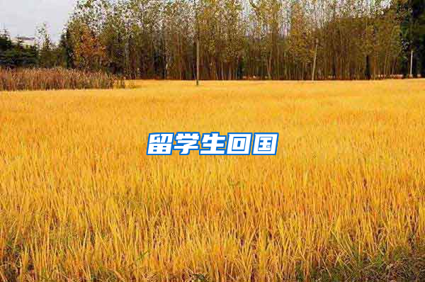 留学生回国