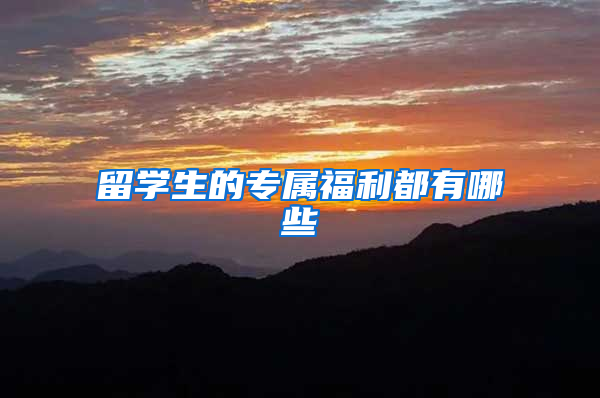 留学生的专属福利都有哪些