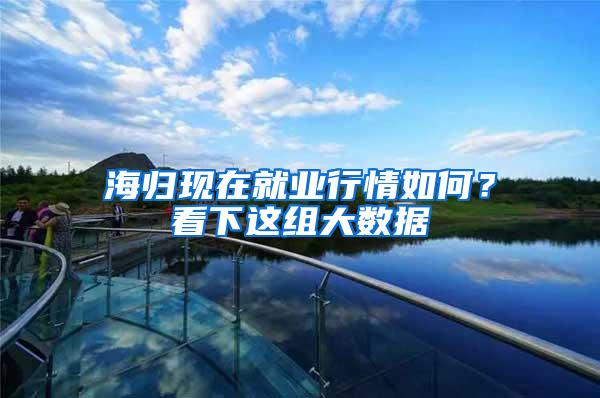 海归现在就业行情如何？看下这组大数据