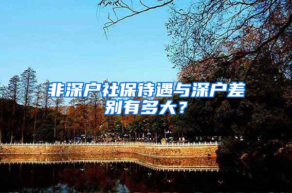 非深户社保待遇与深户差别有多大？