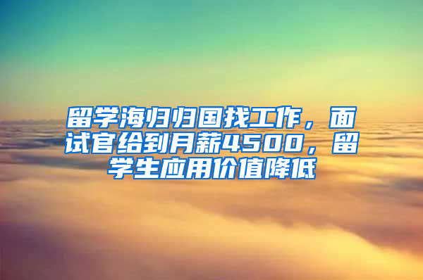 留学海归归国找工作，面试官给到月薪4500，留学生应用价值降低