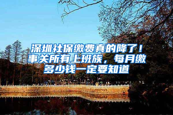 深圳社保缴费真的降了！事关所有上班族，每月缴多少钱一定要知道